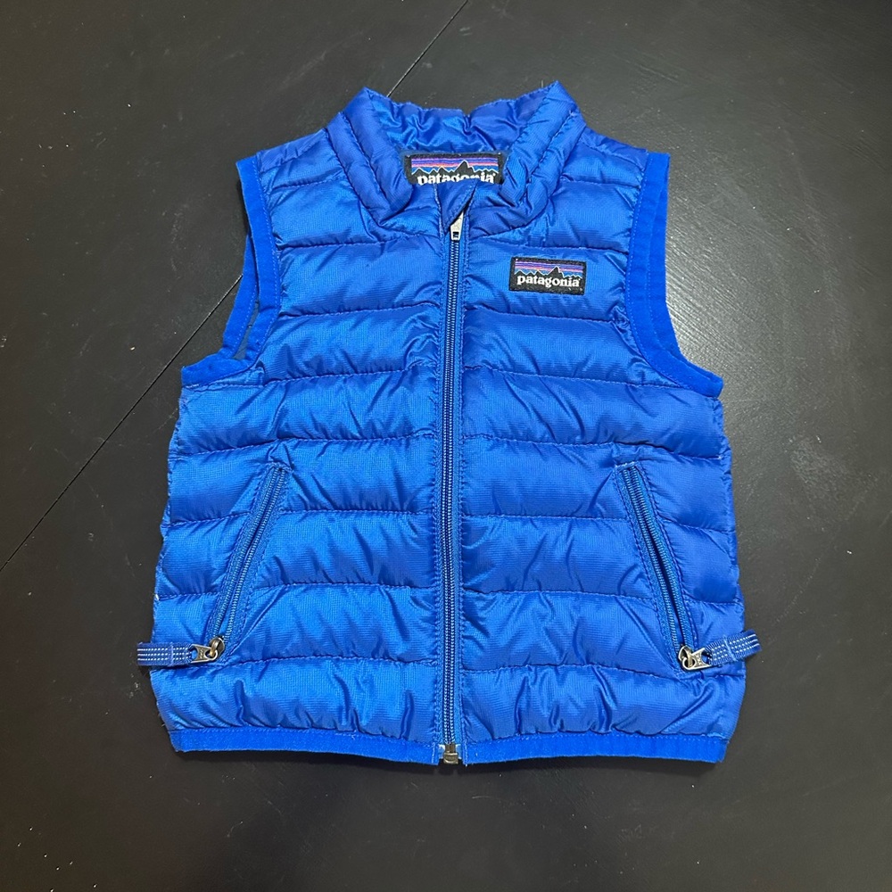 Patagonia Royal Blue Quilted Vest